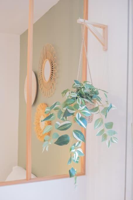Apartment Jungle